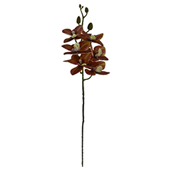 Flor Orquídea Mediana Amarilla Roja 6 Flores 60cm