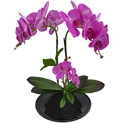 Maceta Phalaenopsis Fucsia 32cm