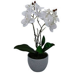 Maceta Phalaenopsis Blanco 30cm