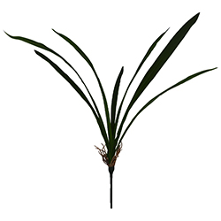 Hoja Verde Orquídea 65cm