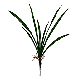Hoja Verde Orquídea 52cm