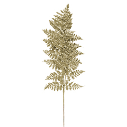 Rama  Ash Champagne 75cm