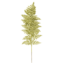 Rama Ash Oro 75cm