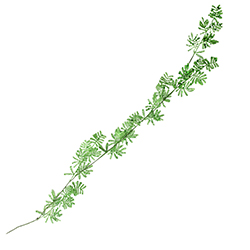 Guirnalda ASH Verde 150cm