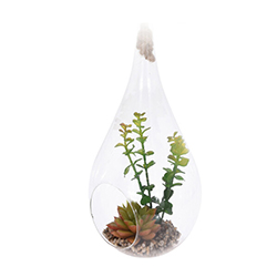 Gota Colgante Cristal con Planta 