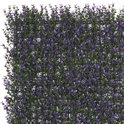 Jardín Vertical Cereza Violeta 50x50cm 