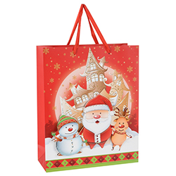 Funda de Navidad 3D 24x17cm