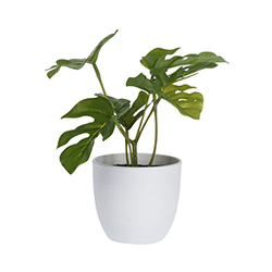 Maceta con Planta Artificial 15cm