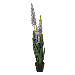 Maceta con Planta  Delphinium 80cm