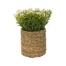 Maceta Natural con Planta Artificial 20cm 4 Colores