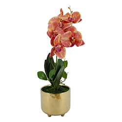 Maceta Oro Phalaenopsis Gran Vino 7 Flores 42cm