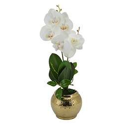 Maceta con Flor Orquídea Blanca 7 Flores 45cm