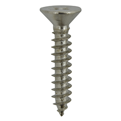 Tornillo Tripa de Pato Cabeza Avellanada Niquelado Phillips 3x10