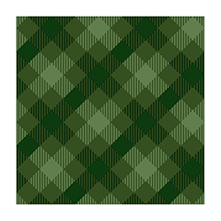 Servilleta Tartan Green 24x24cm 20 Unidades