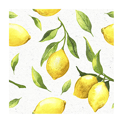 Servilleta Citrus 33x33cm 20 Unidades