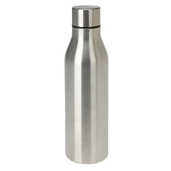 Termo 450ml Metal Inox