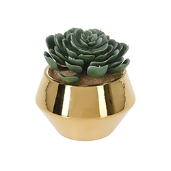 Maceta con Planta Artificial Cactus 12cm