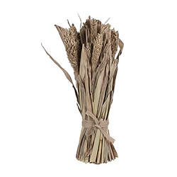 Ramo Trigo Bambú Decorativo 10x33cm