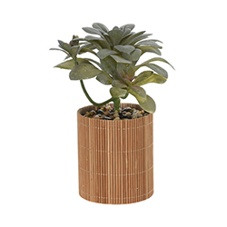 Maceta con Planta Artificial Bambú 19cm