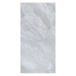 Porcelanato Elemental Grey Mate 60x120cm